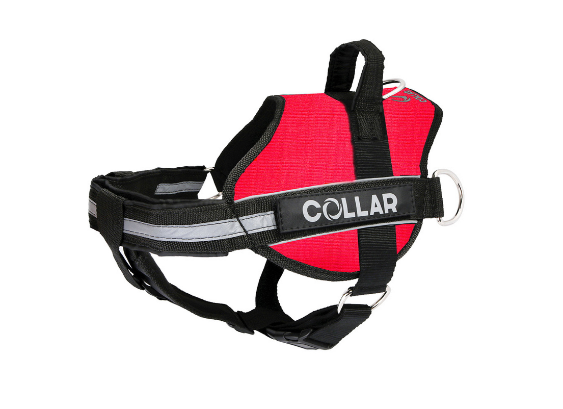 

Шлея для собак красная POLICE Dog Extreme COLLAR дл. 35-45 см CoLLar Dog Extremе BGL-WD-3426