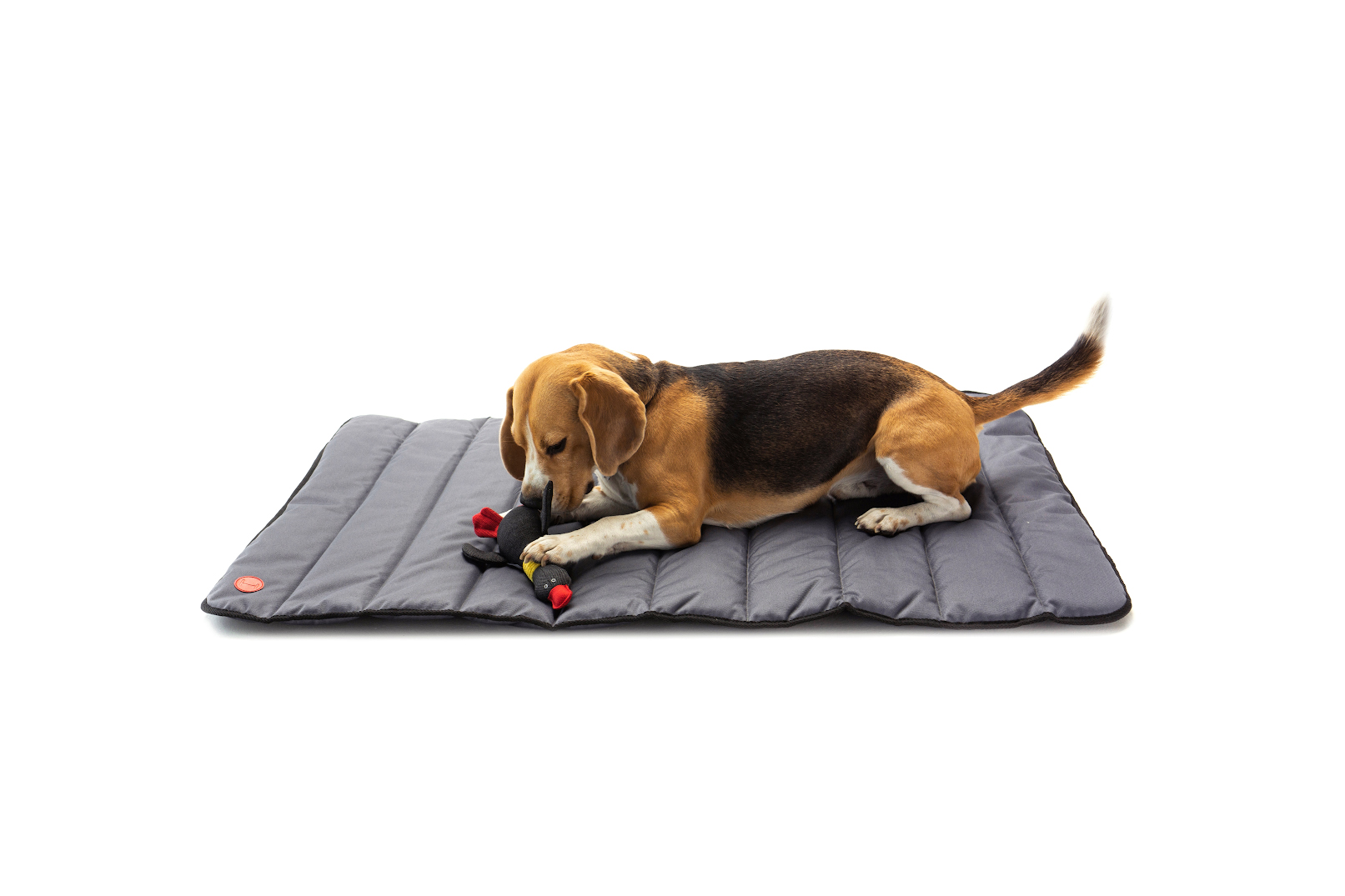 

Прогулочный мат серый Travel Roll Up Gray L 110x75 см Harley & Cho BGL-HL-1025