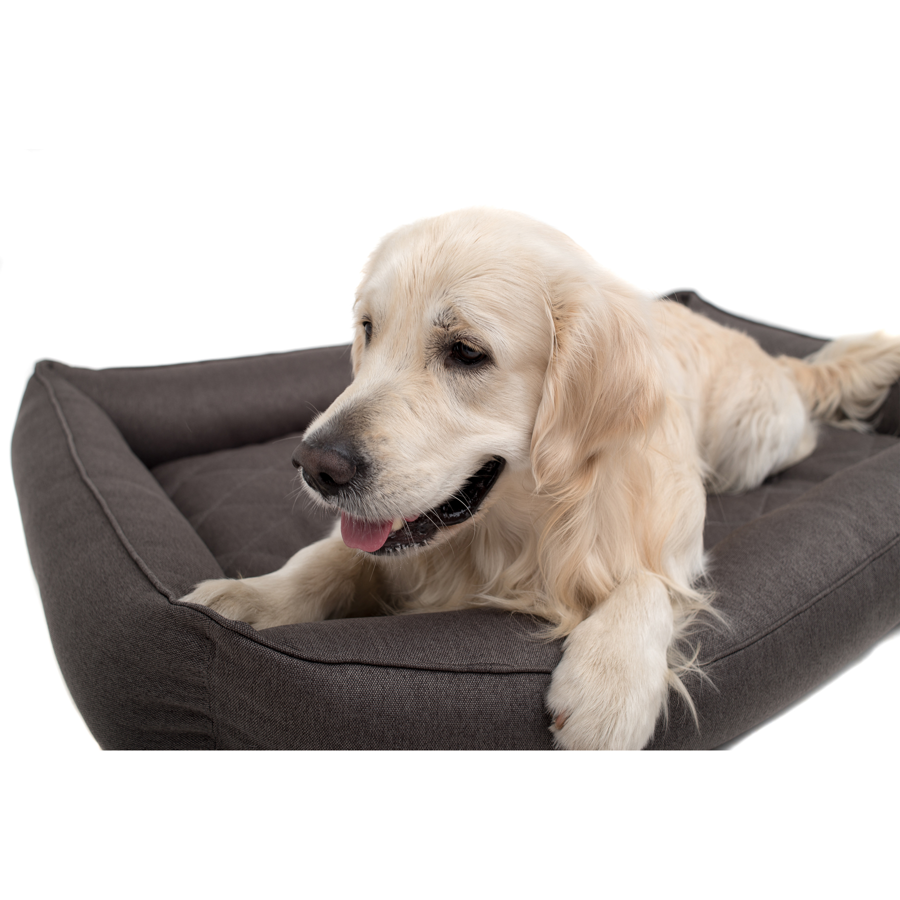 

Лежак для собаки Sofa Gray, серый XХL (120x80 cm) Harley & Cho BGL-HL-576