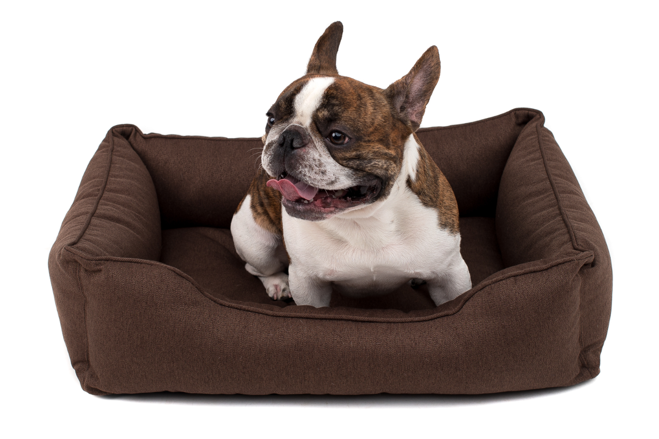 

Лежак Dreamer Brown коричневый XS (50x40 cm) Harley & Cho BGL-HL-39