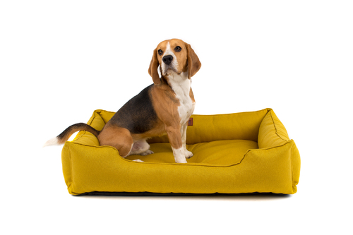 

Лежак Dreamer Mustard горчичный L (90x60 cm) Harley & Cho BGL-HL-72
