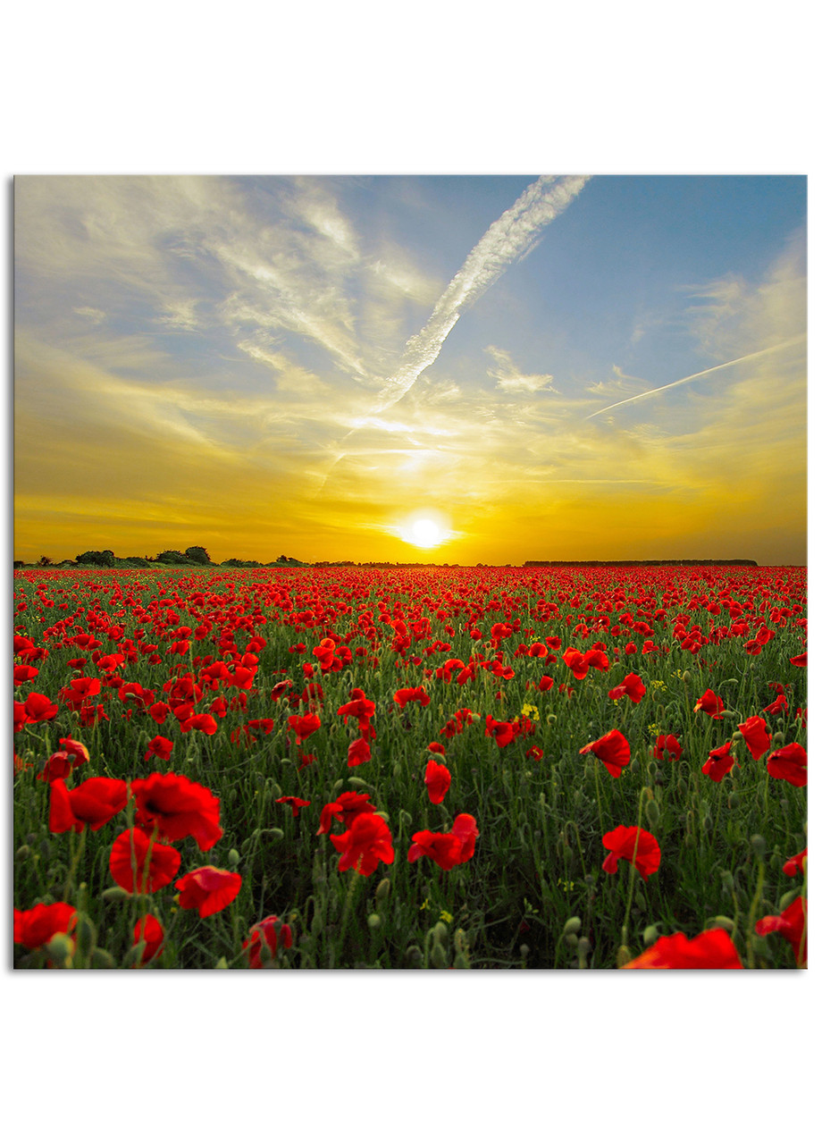 

Фотокартина на холсте Поле маков, 100*100 см