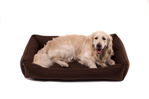 

Влагостойкий лежак Dreamer Brown Waterproof коричневый XL (110x70 cm) Harley & Cho BGL-HL-171