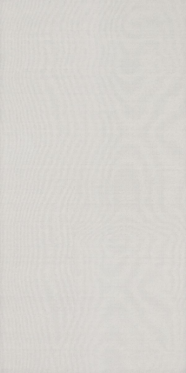 

Плитка облицовочная АТЕМ Silk W 250х500 мм Белая (90157)