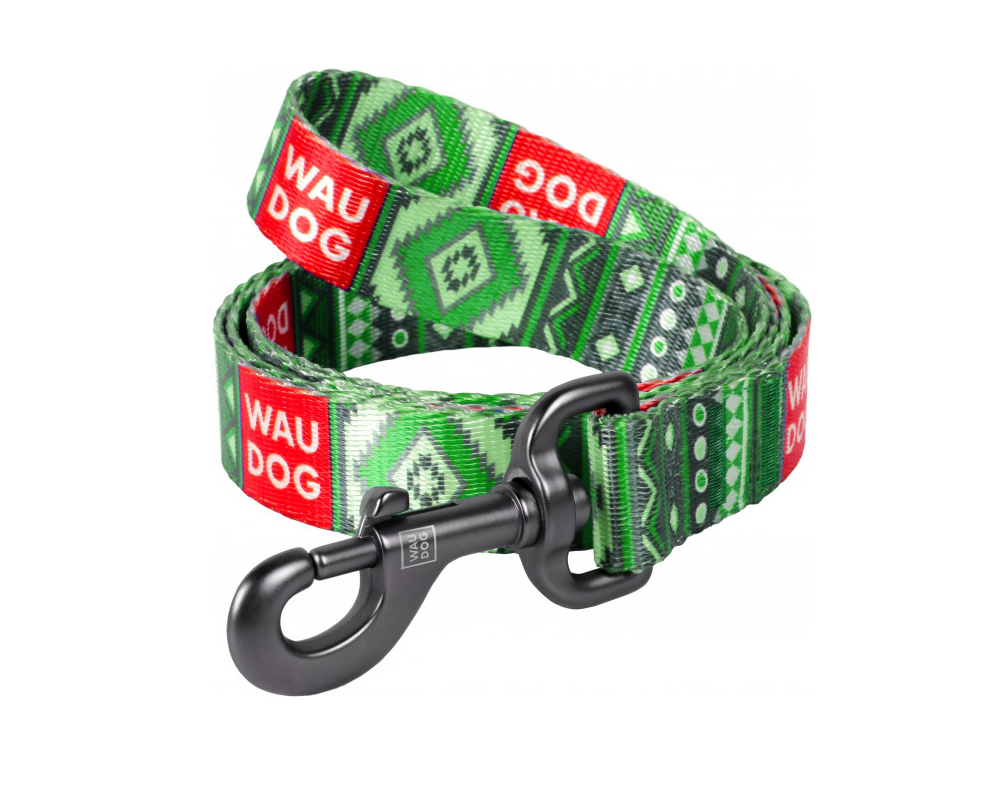 

Поводок для собак с рисунком Этно зеленый Nylon WAUDOG ш. 20 мм, дл. 122 см WAUDOG BGL-WD-2206