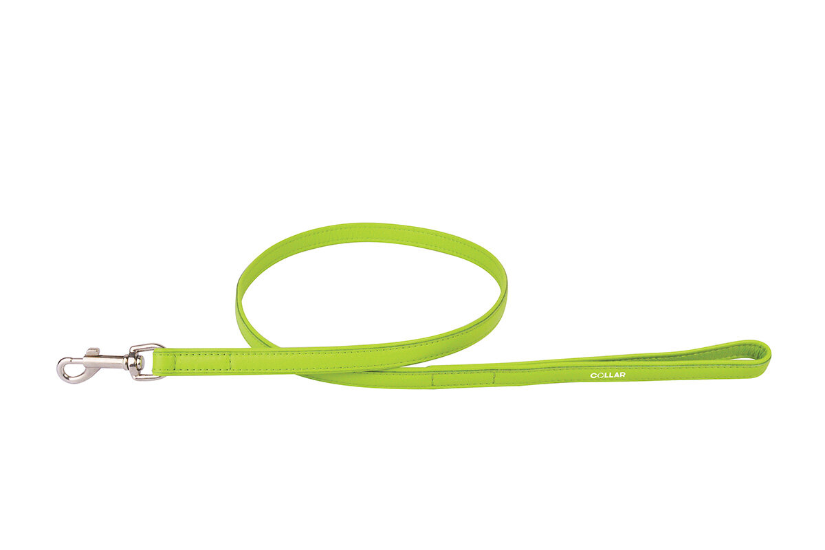 

Поводок для собак салатовый GLAMOUR WAUDOG ш. 25 мм, дл. 122 см WAUDOG BGL-WD-2733