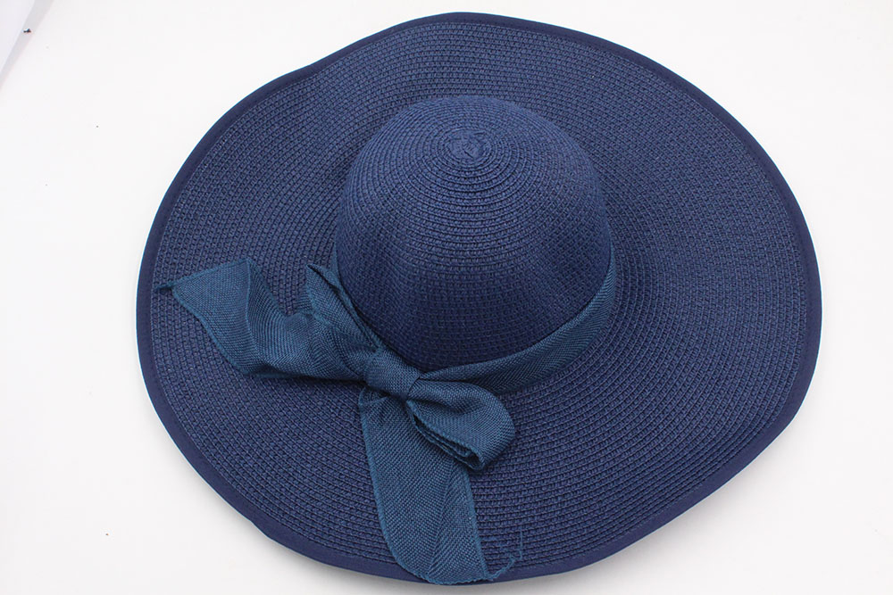 

Шляпа Женская D76-1-250-56-58 Размер (56-58) Цвет (синий)