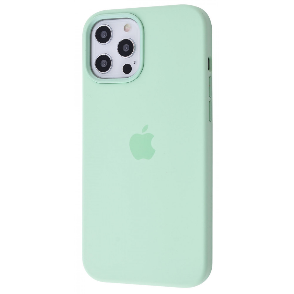 

Чехол Silicone Case with MagSafe and Splash Screen для iPhone 12 Pro Max pistachio