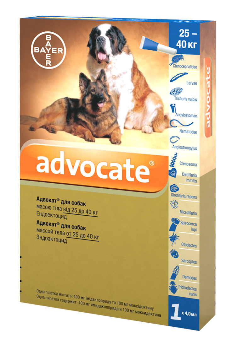 

Капли от глистов и блох для собак весом от 25 до 40 кг Advocate 1 пипетка Bayer BGL-BY-23
