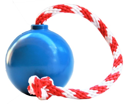 

Игрушка для собак USA-K9 CHERRY BOMB DURABLE RUBBER CHEW TOY, TREAT DISPENSER, REWARD TOY, TUG TOY, AND RETRIEVING TOY - BLUE L Ø 7.6 см SodaPup BGL-SD-30