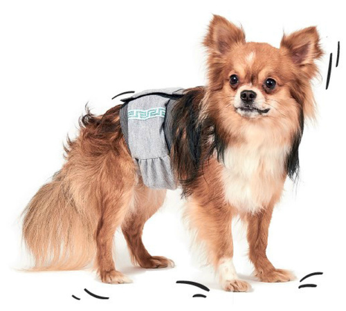 

Пояс гигиенический для кобелей M-2 (объем пояса 56-61 см) Pet Fashion BGL-PF-101