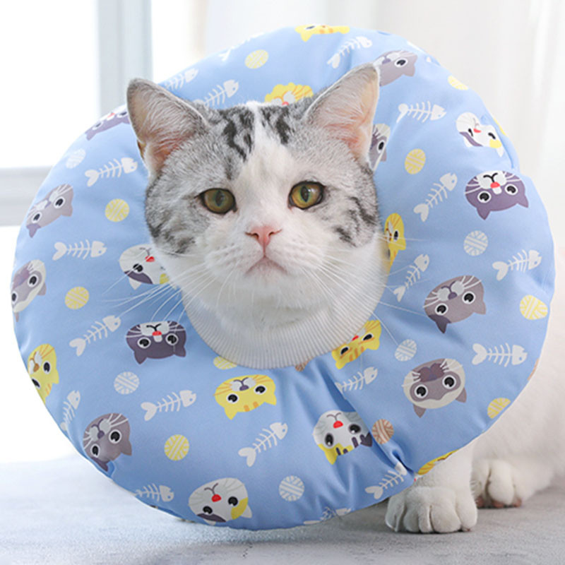 

Мягкий воротник-подушка Hoopet 19G0005GF Blue Cats размер L защитный от разлизывания для кошек (K/OPT2_7930-30403)