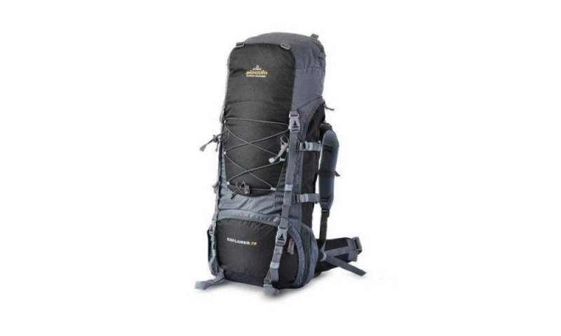 

Рюкзак Pinguin EXPLORER 60 черный-серый