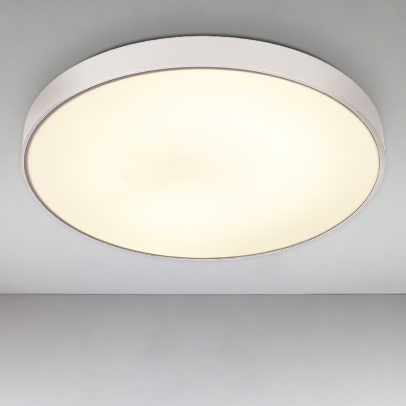 

Люстра потолочная светодиодная Light House LS-17082 WH LED 2x48W белая