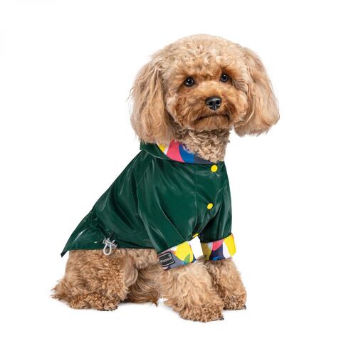 

Ветровка для собак зеленая Pet Fashion AIR XS-2 Pet Fashion BGL-PF-1126