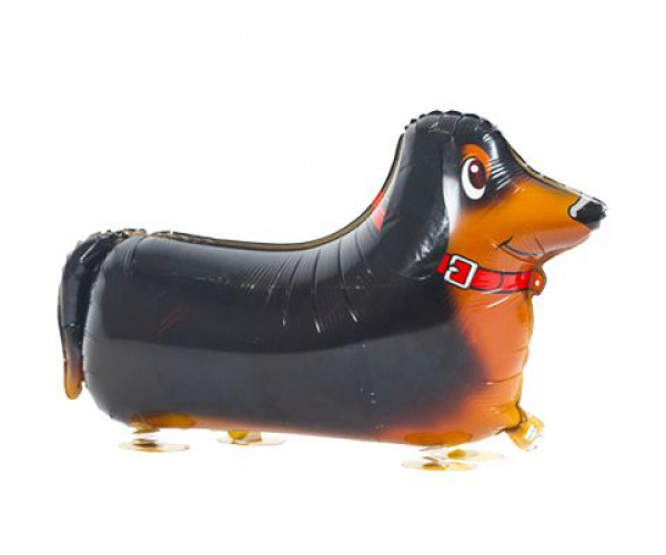 

Ходячая фигура Такса с гелием чёрный 25-001