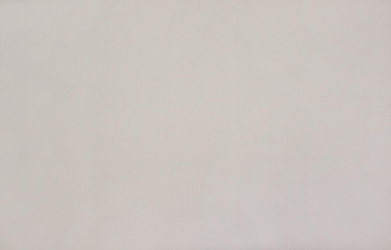 

Обои виниловые горячего тиснения на флизелиновой основе Vinil LS ФК 1.06х10.05 м капучиновые (СШТ 5-1215)