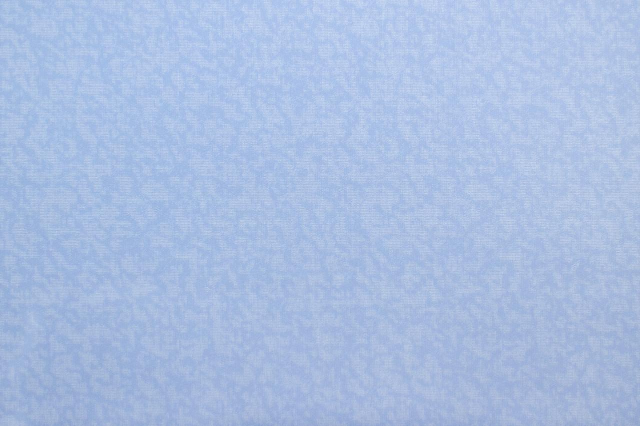 

Обои виниловые на флизелиновой основе Vinil LS Зан 1.06х10.05 м голубой (ДХН-1425/6)