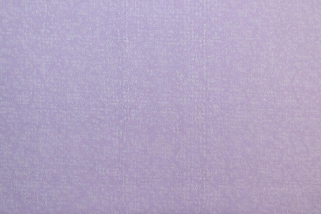 

Обои виниловые на флизелиновой основе Vinil LS Зан 1.06х10.05 м лавандовые (ДХН-1425/7)
