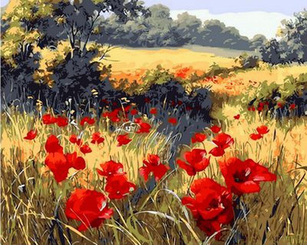 

Маки на опушке. Роспись по номерам. Mariposa 40x50