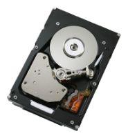 

Жесткий диск 3.5" SATA II 1000Gb 7200rpm IBM 41Y8236