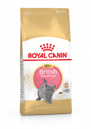 

Корм для котят породы британская короткошерстная KITTEN BRITISH SHORTHAI Royal Canin 10 кг (2566100)