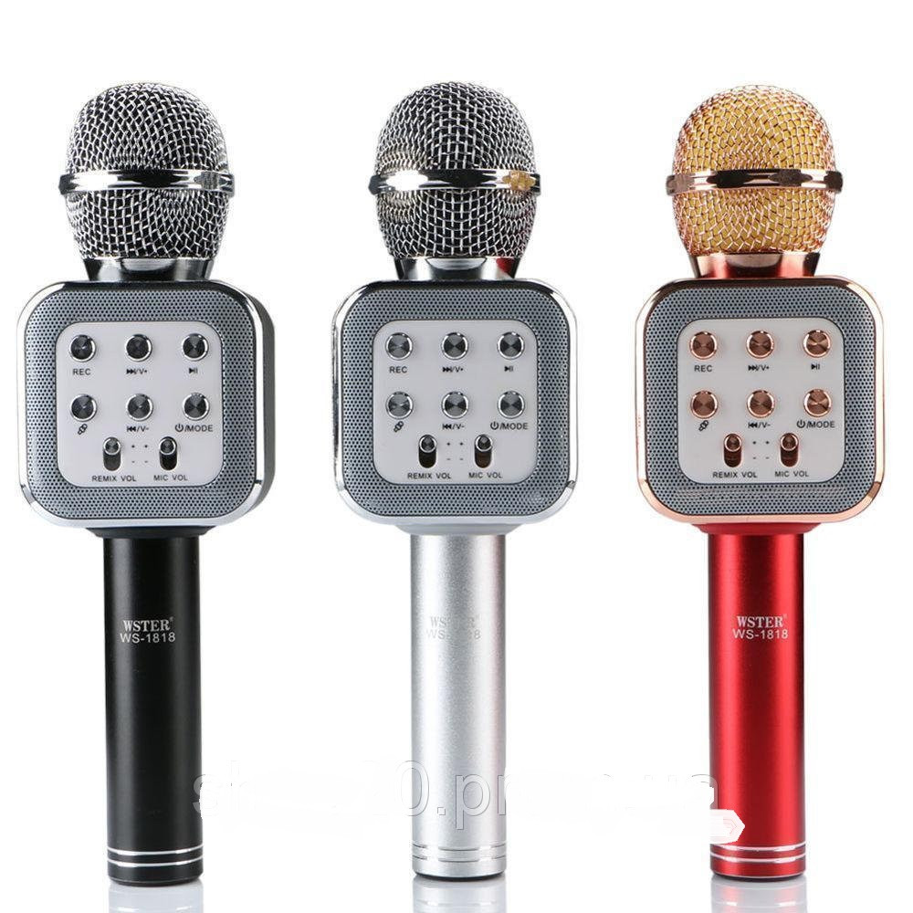 

Беспроводной Bluetooth караоке-микрофон DM Karaoke WS1818