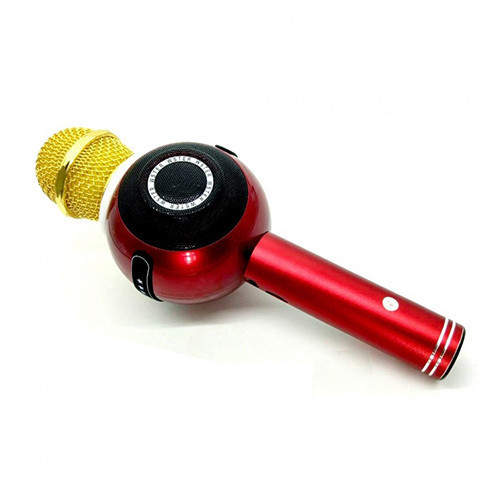

Микрофон DM Karaoke WS 878