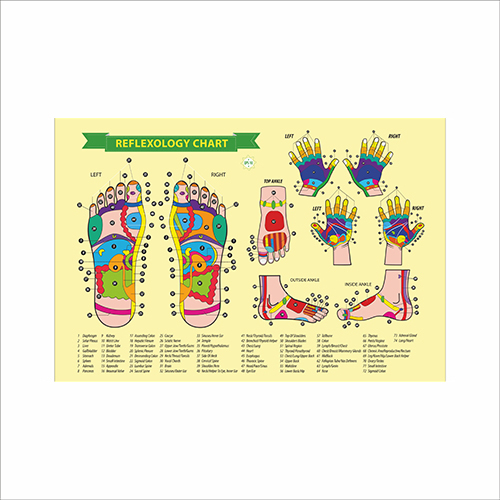 

Плакат Beauty Special “Reflexology chart" А0