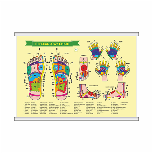 

Плакат Beauty Special “Reflexology chart” с планкой А0