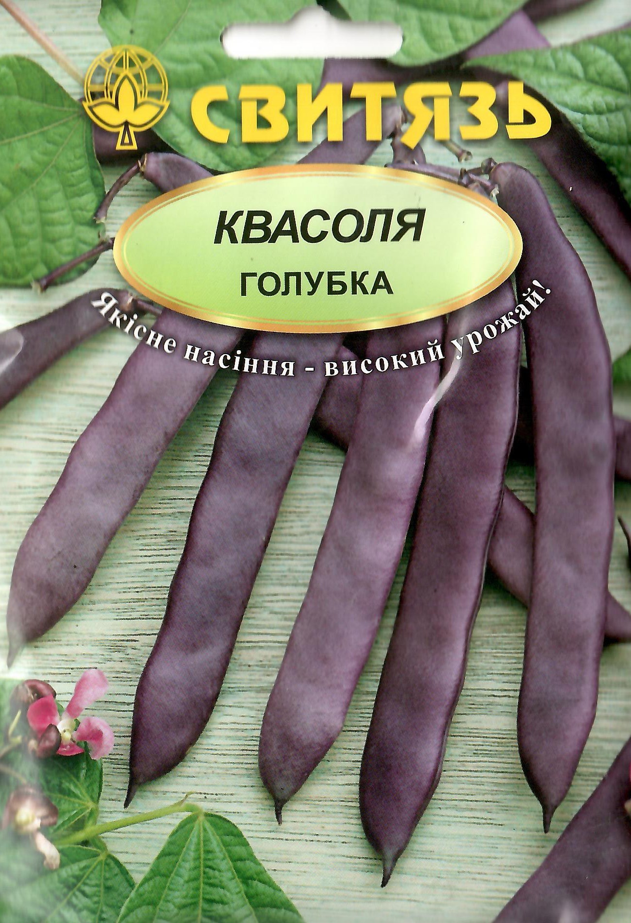 Семена фасоль спаржевая вьющаяся фиолетовая Голубка 15 г СВИТЯЗЬ 10376 ...