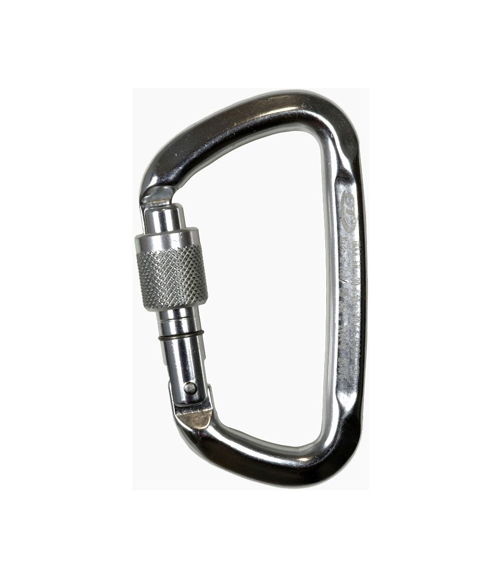 

Карабин Climbing Technology D-Shape SG (silver) silver (2C47600 XTB)