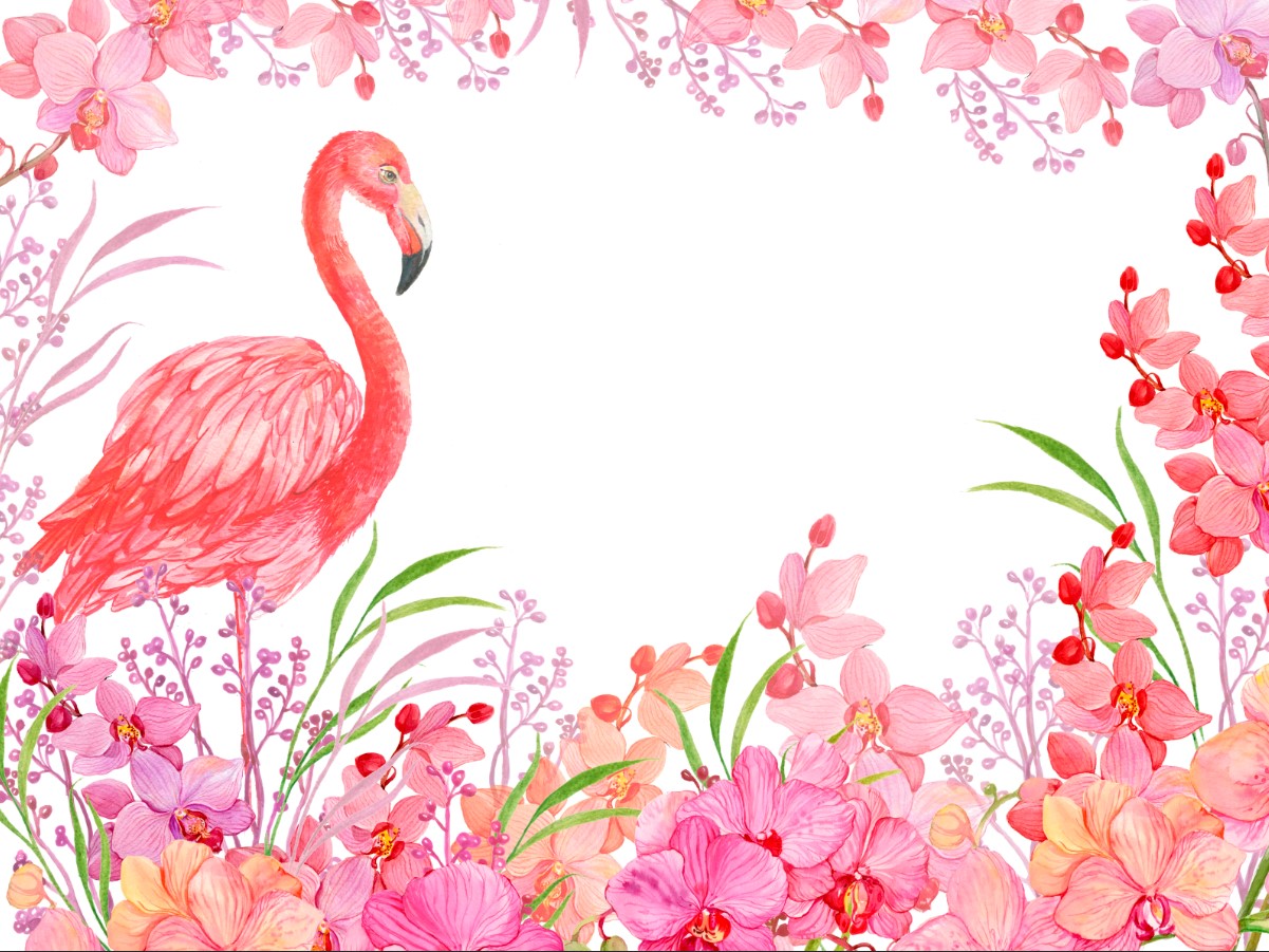 

Фотообои ArtSide Фламинго в цветах (527050202015) Венеция