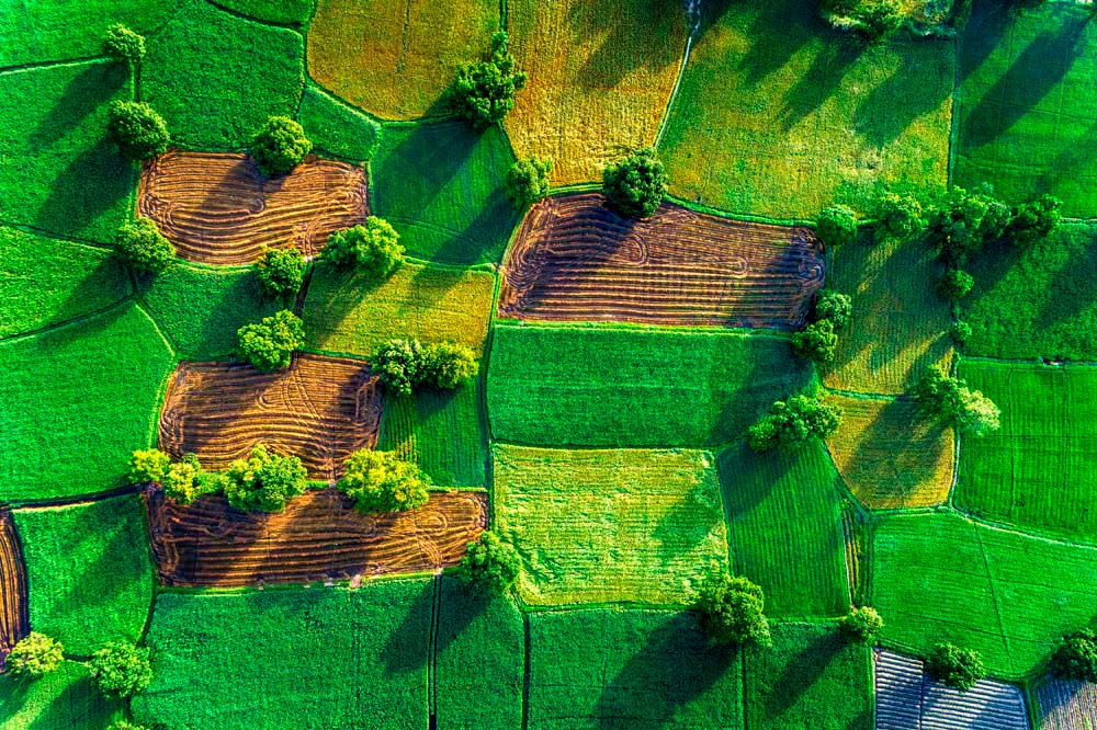 

Фотообои ArtSide Вид на поле с высоты (755327206) Изморозь