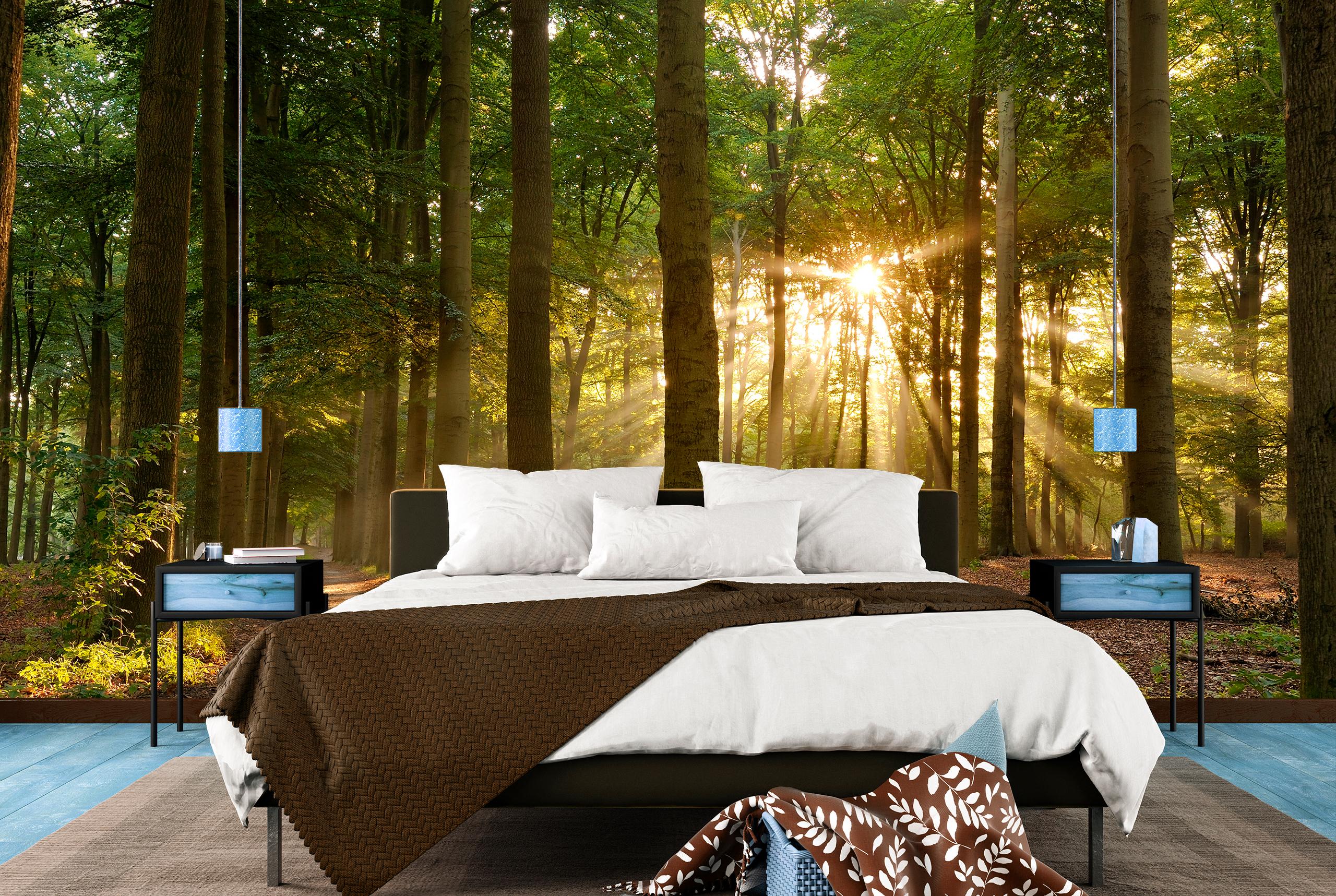 

Бумажные Фотообои Walldeco Утро в лесу 400x260 Гладь