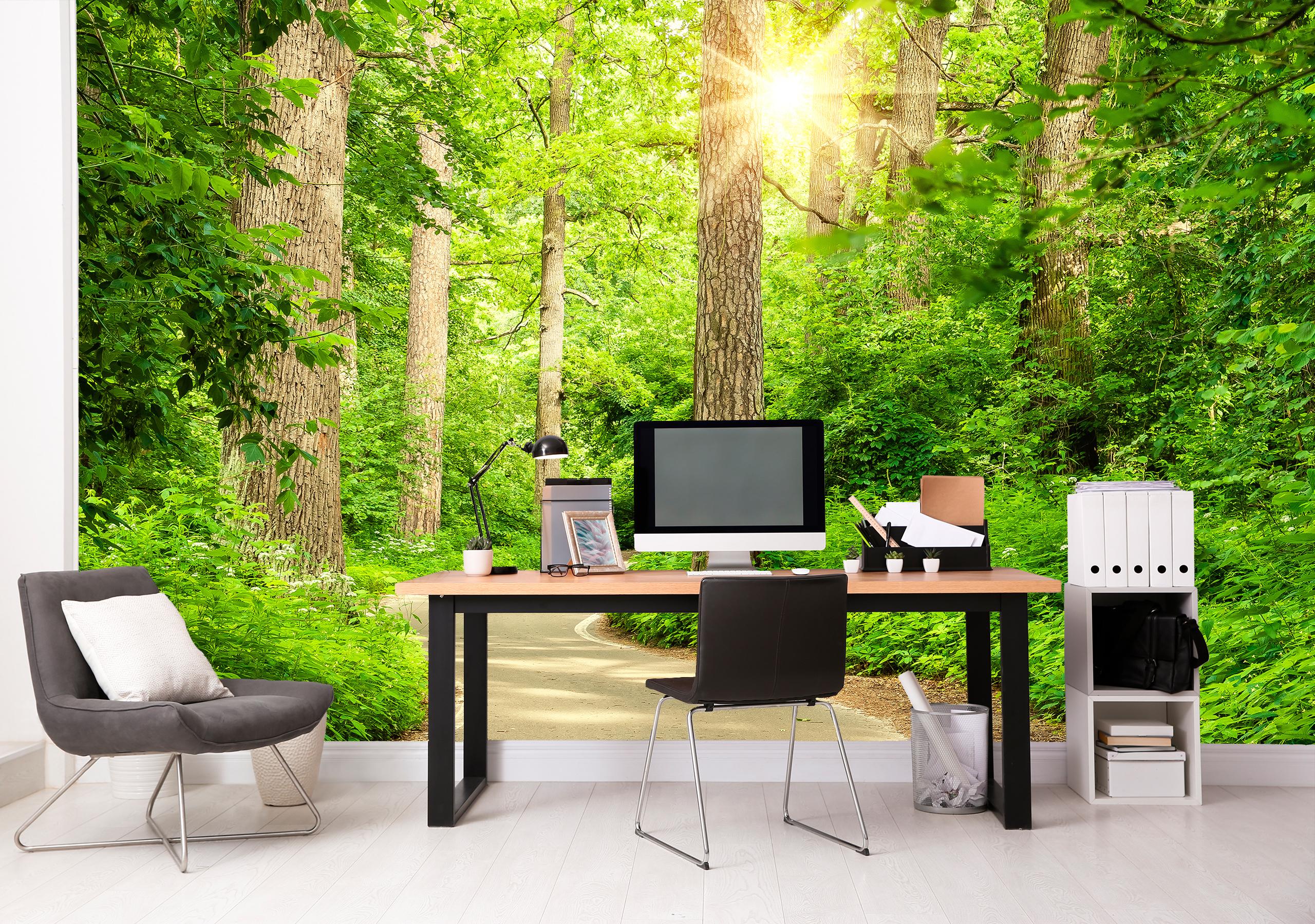 

Флизелиновые Фотообои Walldeco Дорога в лесу 285x190 Бриз