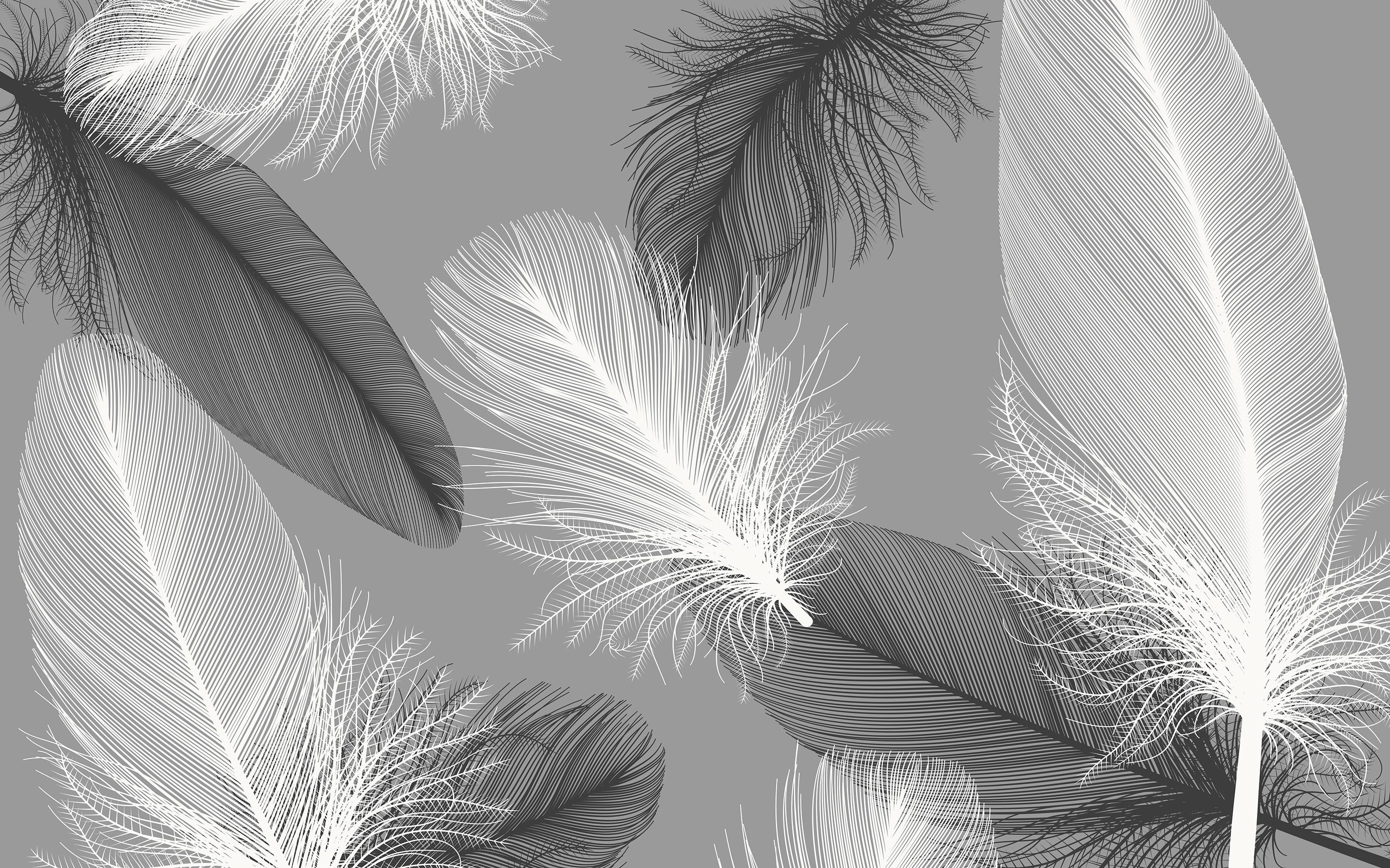 

Бумажные Фотообои Walldeco Черно-белые перья 200x130 Гладь