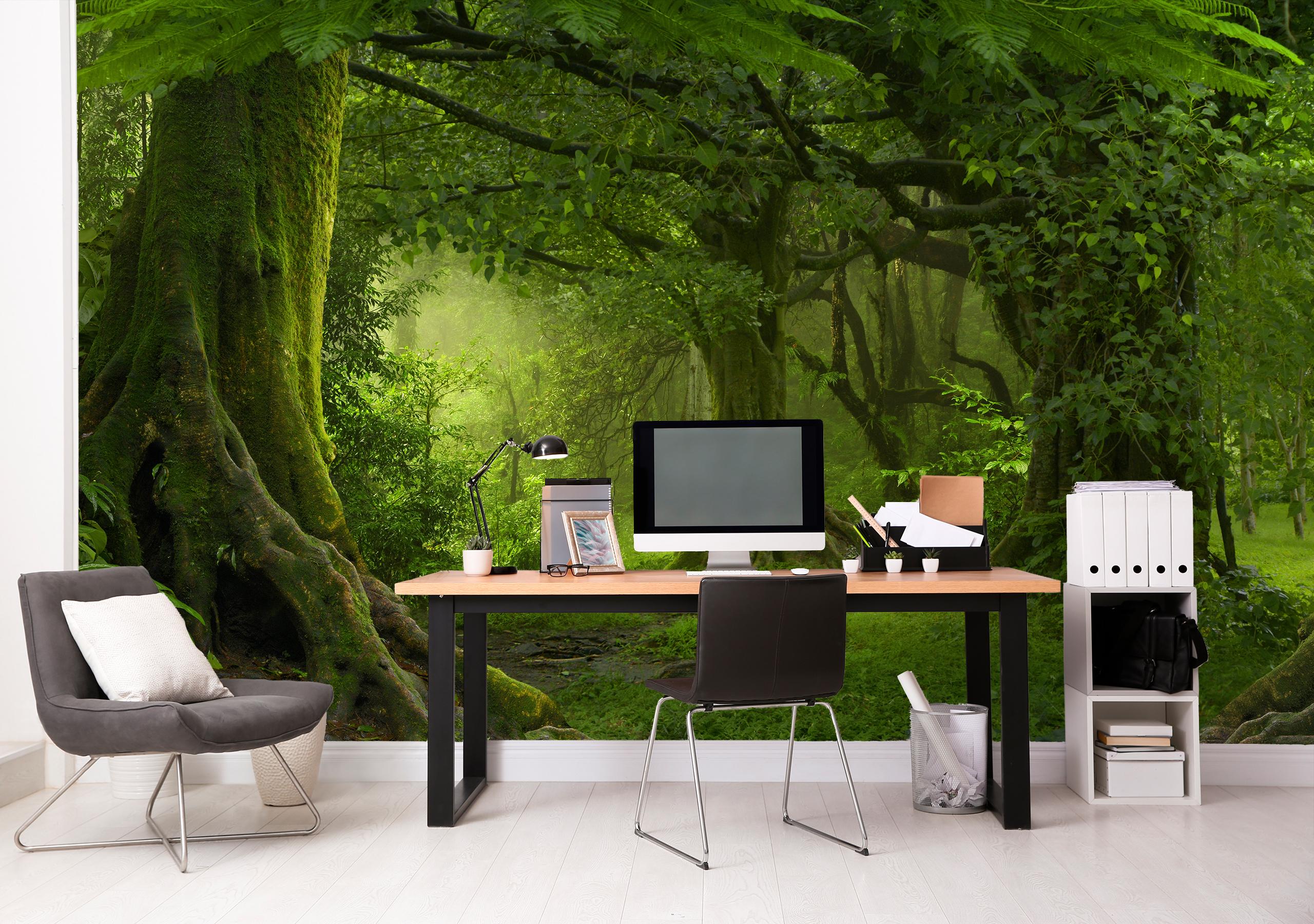 

Виниловые Фотообои Walldeco Зелёный лес 475x300 Волокно