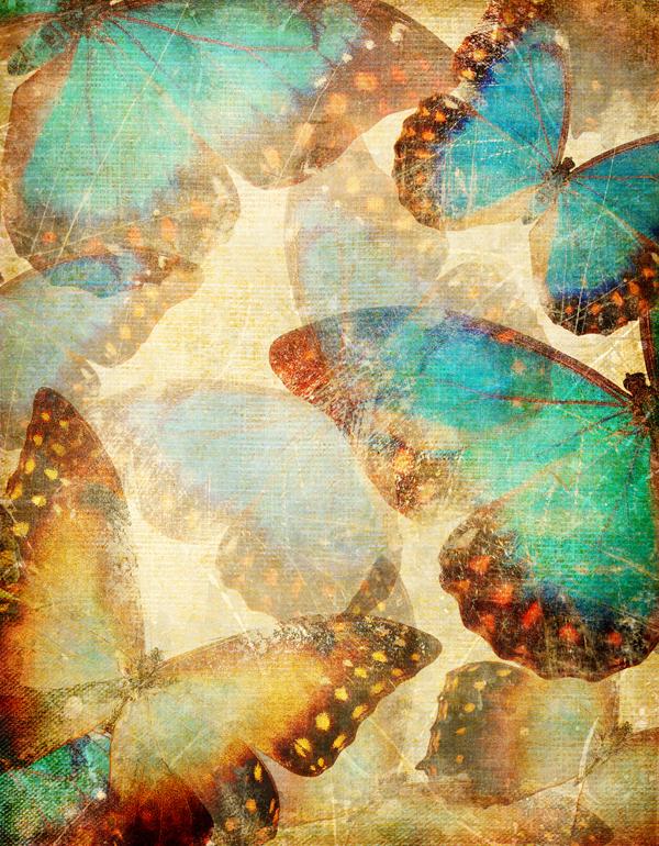 

Картина Арт-Холст Бабочки №4614 (60x90см)