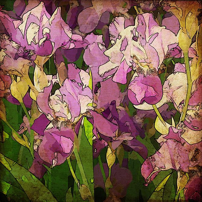 

Картина Арт-Холст Куст ириса №2185 (130x110см)