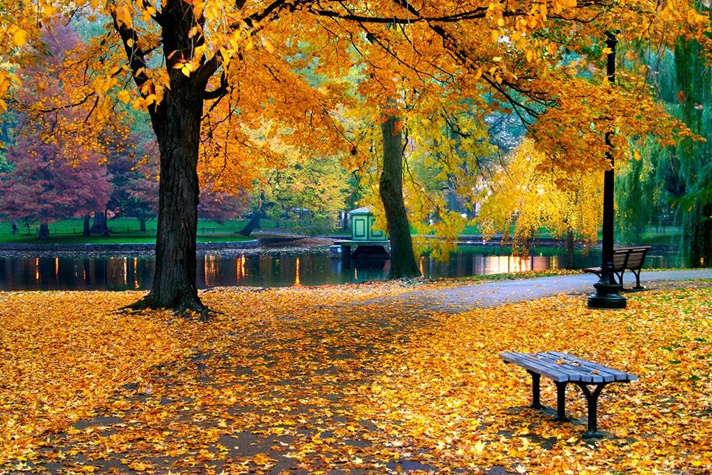 

Картина Арт-Холст Парк осенью №2552 (70x50см)