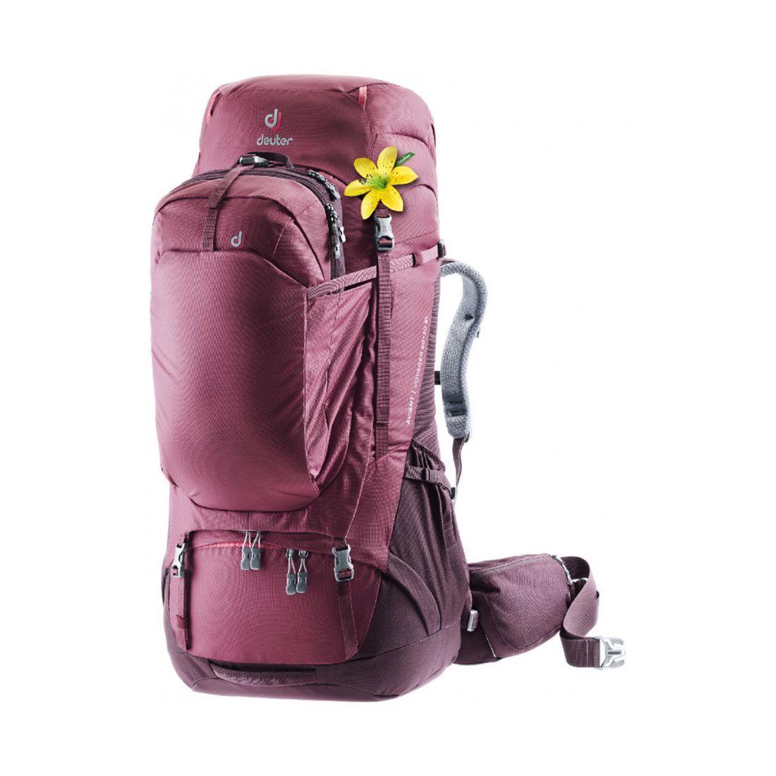 

Рюкзак Deuter Aviant Voyager 60+10 SL maron-aubergine (3513120 5543)