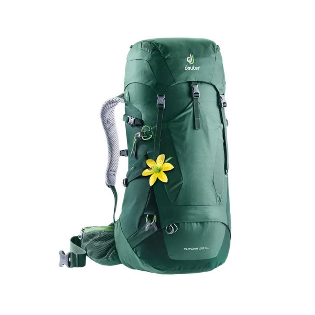 

Рюкзак Deuter Futura 28 SL One size seagreen-forest (3400618 2247)