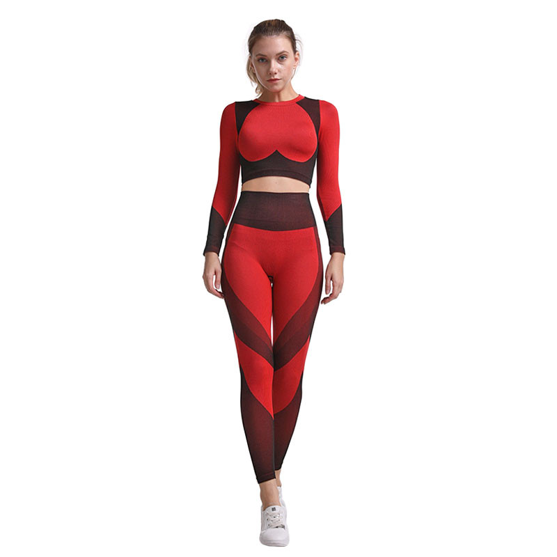 

Женский комплект лосины и топ Lesko The Queen Jane 314 Red  с длинным рукавом для занятий спортом (K/OPT2_6884-24195, Женский комплект лосины и топ Lesko The Queen Jane 314 Red L с длинным рукавом для занятий спортом (K/OPT2_6884-24195)