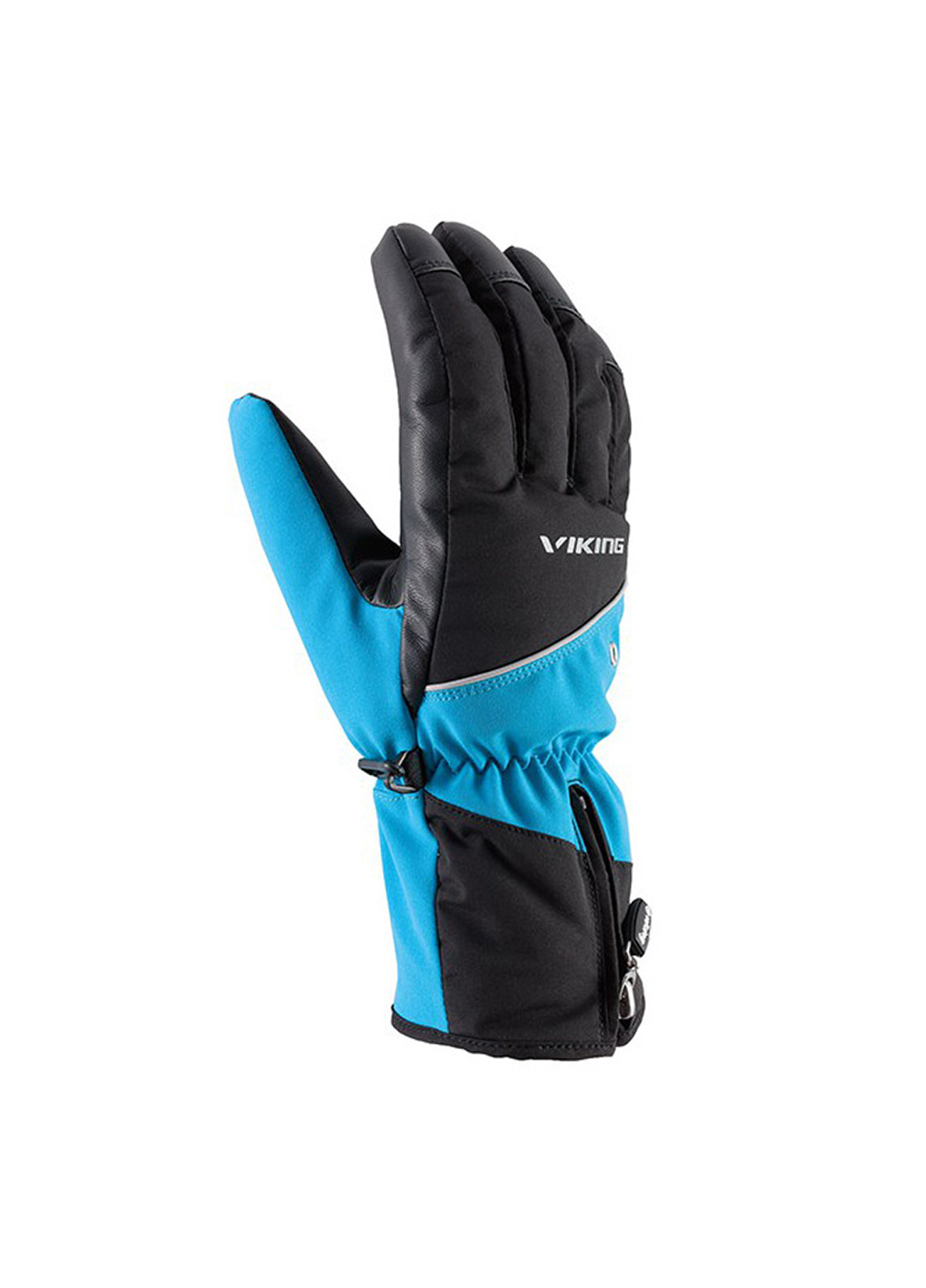 

Перчатки горнолыжные Viking Crispin 9 (L) Черный с синим 110190303-15blue-9