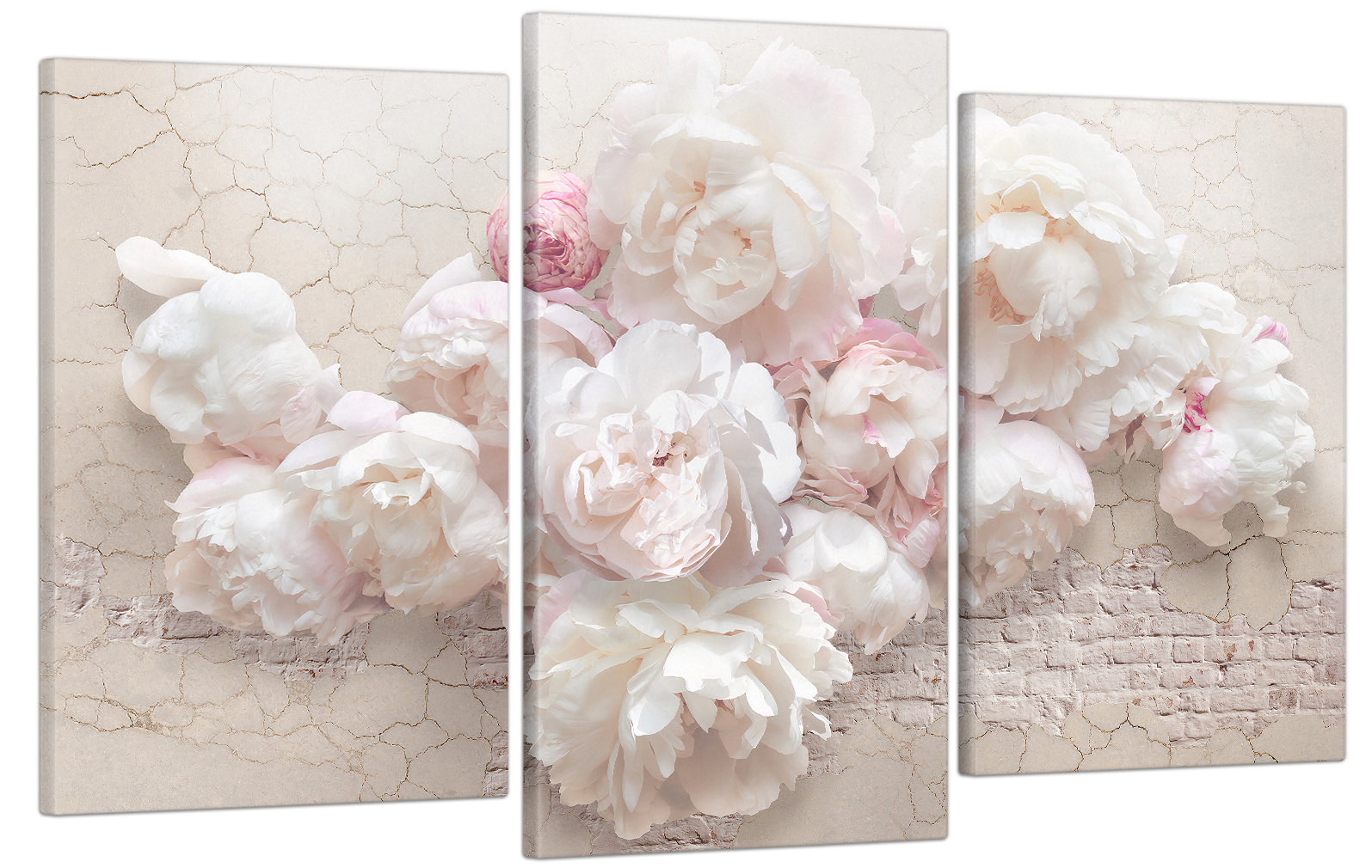 

Модульная картина в гостиную / спальню для интерьера "Белые пионы" 53x100 см MK30046_E