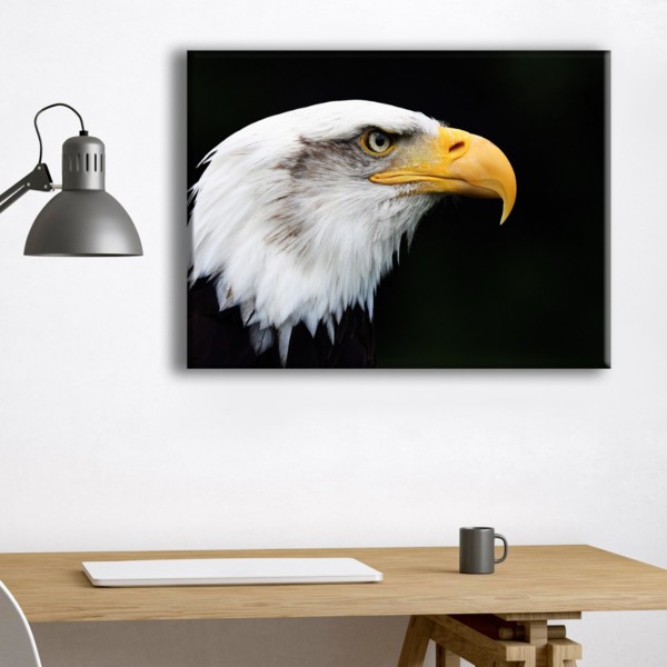 

Картина на холсте Животные Eagle 75х100 см.
