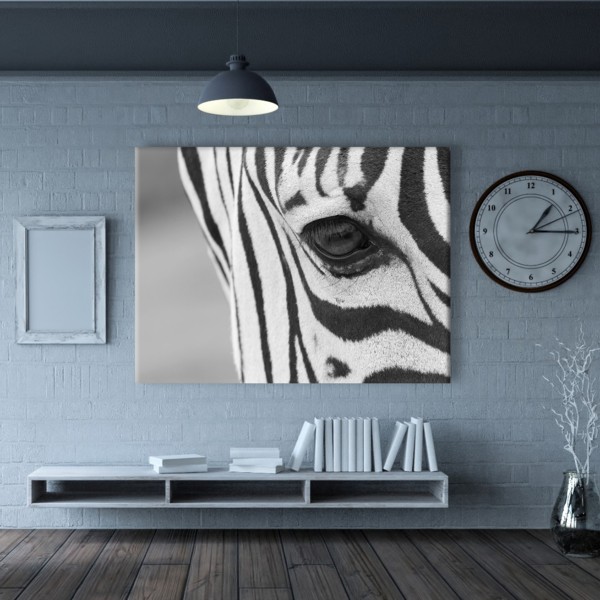 

Картина на холсте Животные Zebra 50х65 см.