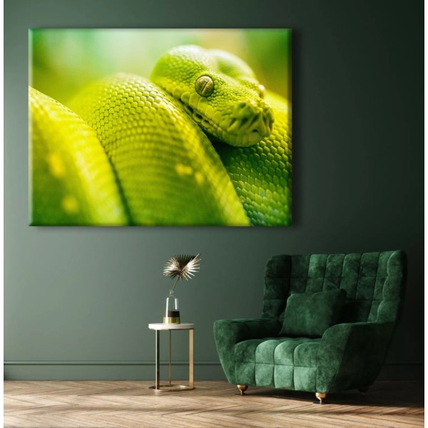 

Картина на холсте Животные Green Snake 90х120 см.