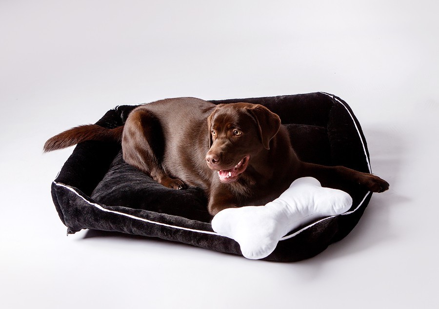 

Лежак черный для большой собаки 6-25 кг с подушечкой "Косточка", 100*75 см